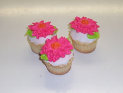 cupcakes - plain or fancy